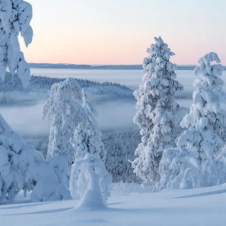 Feriehus Levi Onnenpolku 3b By In Lapland *