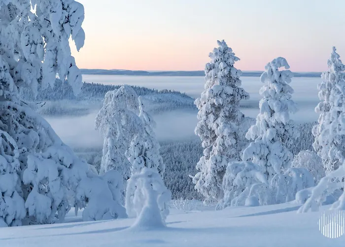 펜션 In Lapland - Levi Onnenpolku 3b *